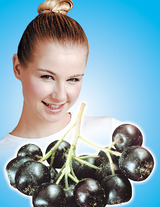 чорна горобина - джерело вітамінів