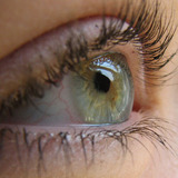 Хвороби Очей - Катаракта, Глаукома, Відшарування Сітківки.